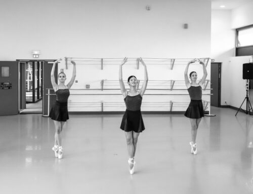 Spectacle « Petites Pièces » le 10 décembre au Colisée de Biarritz