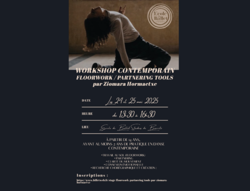WORKSHOP CONTEMPORAIN Par Ziomara Hormaetxe
